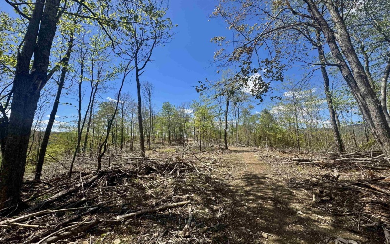TBD Staunton Parkersburg Turnpike, Durbin, West Virginia 26264, ,Lots/land,For Sale,Staunton Parkersburg,10164996
