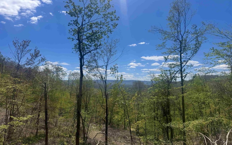 TBD Staunton Parkersburg Turnpike, Durbin, West Virginia 26264, ,Lots/land,For Sale,Staunton Parkersburg,10164996