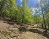 TBD Staunton Parkersburg Turnpike, Durbin, West Virginia 26264, ,Lots/land,For Sale,Staunton Parkersburg,10164996
