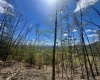 TBD Staunton Parkersburg Turnpike, Durbin, West Virginia 26264, ,Lots/land,For Sale,Staunton Parkersburg,10164996