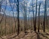 TBD Staunton Parkersburg Turnpike, Durbin, West Virginia 26264, ,Lots/land,For Sale,Staunton Parkersburg,10164996