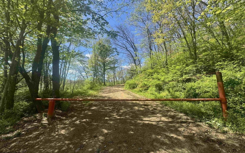 TBD Staunton Parkersburg Turnpike, Durbin, West Virginia 26264, ,Lots/land,For Sale,Staunton Parkersburg,10164996