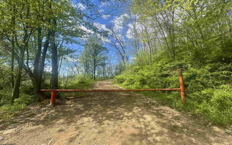TBD Staunton Parkersburg Turnpike, Durbin, West Virginia 26264, ,Lots/land,For Sale,Staunton Parkersburg,10164996