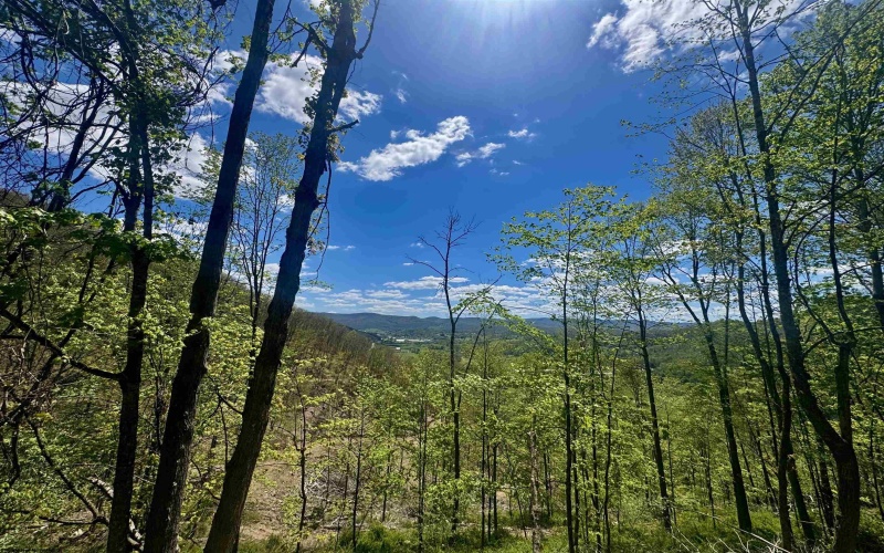 TBD Staunton Parkersburg Turnpike, Durbin, West Virginia 26264, ,Lots/land,For Sale,Staunton Parkersburg,10164996