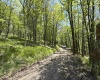 1019 Thunderstruck Road, Harman, West Virginia 26270, ,Lots/land,For Sale,Thunderstruck,10164997