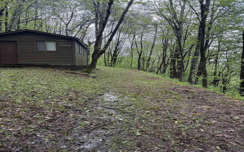 1019 Thunderstruck Road, Harman, West Virginia 26270, ,Lots/land,For Sale,Thunderstruck,10164997