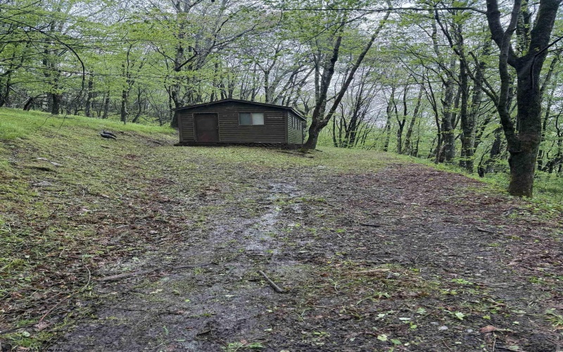 1019 Thunderstruck Road, Harman, West Virginia 26270, ,Lots/land,For Sale,Thunderstruck,10164997