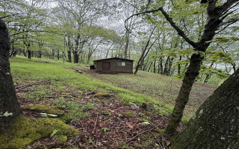 1019 Thunderstruck Road, Harman, West Virginia 26270, ,Lots/land,For Sale,Thunderstruck,10164997