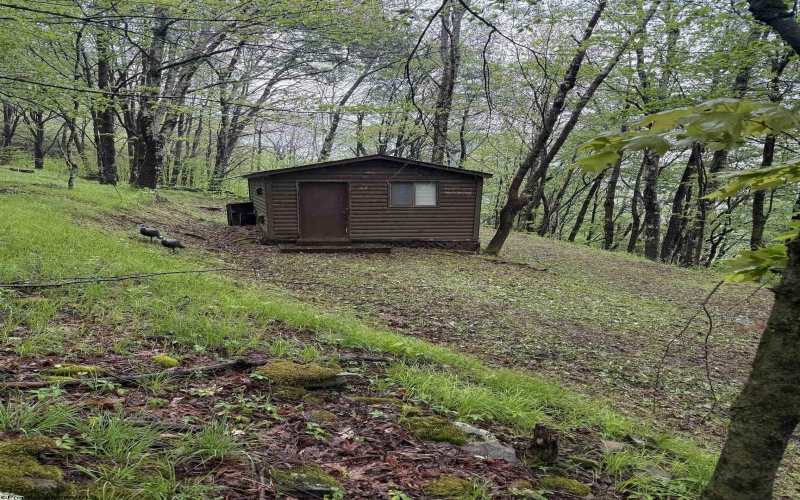 1019 Thunderstruck Road, Harman, West Virginia 26270, ,Lots/land,For Sale,Thunderstruck,10164997