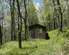 1019 Thunderstruck Road, Harman, West Virginia 26270, ,Lots/land,For Sale,Thunderstruck,10164997