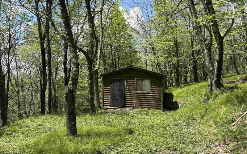 1019 Thunderstruck Road, Harman, West Virginia 26270, ,Lots/land,For Sale,Thunderstruck,10164997