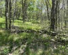1019 Thunderstruck Road, Harman, West Virginia 26270, ,Lots/land,For Sale,Thunderstruck,10164997