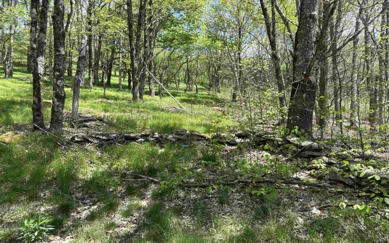 1019 Thunderstruck Road, Harman, West Virginia 26270, ,Lots/land,For Sale,Thunderstruck,10164997