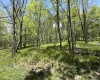 1019 Thunderstruck Road, Harman, West Virginia 26270, ,Lots/land,For Sale,Thunderstruck,10164997