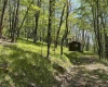 1019 Thunderstruck Road, Harman, West Virginia 26270, ,Lots/land,For Sale,Thunderstruck,10164997
