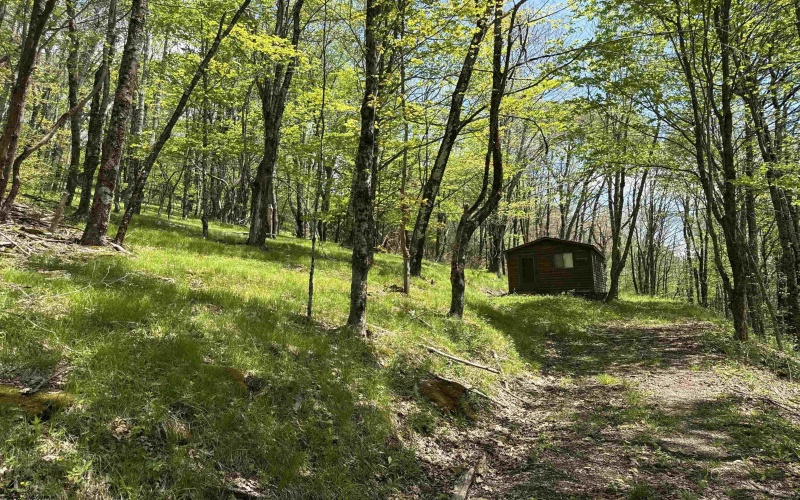 1019 Thunderstruck Road, Harman, West Virginia 26270, ,Lots/land,For Sale,Thunderstruck,10164997
