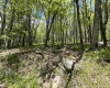 1019 Thunderstruck Road, Harman, West Virginia 26270, ,Lots/land,For Sale,Thunderstruck,10164997