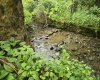 136 Birch Hollow Road, Morgantown, West Virginia 26508, ,Lots/land,For Sale,Birch Hollow,10164998