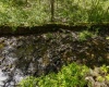 136 Birch Hollow Road, Morgantown, West Virginia 26508, ,Lots/land,For Sale,Birch Hollow,10164998