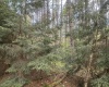 Lot 70 Monte Carlo Court, Davis, West Virginia 26260, ,Lots/land,For Sale,Monte Carlo,10165002