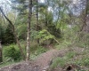 Lot 70 Monte Carlo Court, Davis, West Virginia 26260, ,Lots/land,For Sale,Monte Carlo,10165002