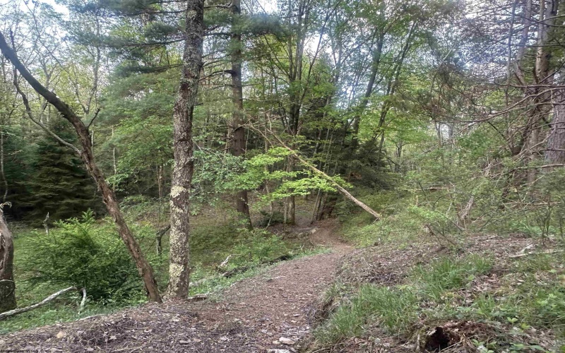 Lot 70 Monte Carlo Court, Davis, West Virginia 26260, ,Lots/land,For Sale,Monte Carlo,10165002