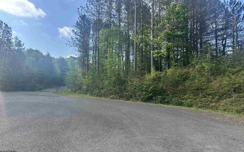 Lot 70 Monte Carlo Court, Davis, West Virginia 26260, ,Lots/land,For Sale,Monte Carlo,10165002