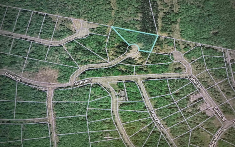 Lot 70 Monte Carlo Court, Davis, West Virginia 26260, ,Lots/land,For Sale,Monte Carlo,10165002