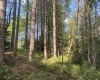 Lot 70 Monte Carlo Court, Davis, West Virginia 26260, ,Lots/land,For Sale,Monte Carlo,10165002