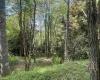 Lot 70 Monte Carlo Court, Davis, West Virginia 26260, ,Lots/land,For Sale,Monte Carlo,10165002