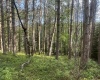 Lot 70 Monte Carlo Court, Davis, West Virginia 26260, ,Lots/land,For Sale,Monte Carlo,10165002