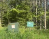 Lot 70 Monte Carlo Court, Davis, West Virginia 26260, ,Lots/land,For Sale,Monte Carlo,10165002