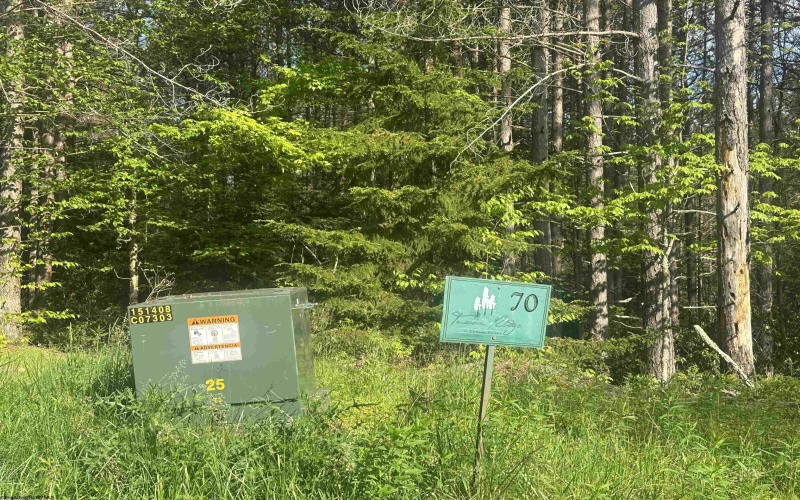Lot 70 Monte Carlo Court, Davis, West Virginia 26260, ,Lots/land,For Sale,Monte Carlo,10165002