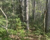 Lot 70 Monte Carlo Court, Davis, West Virginia 26260, ,Lots/land,For Sale,Monte Carlo,10165002