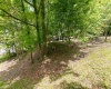 104 Forest Drive, Morgantown, West Virginia 26505, ,Lots/land,For Sale,Forest,10165004