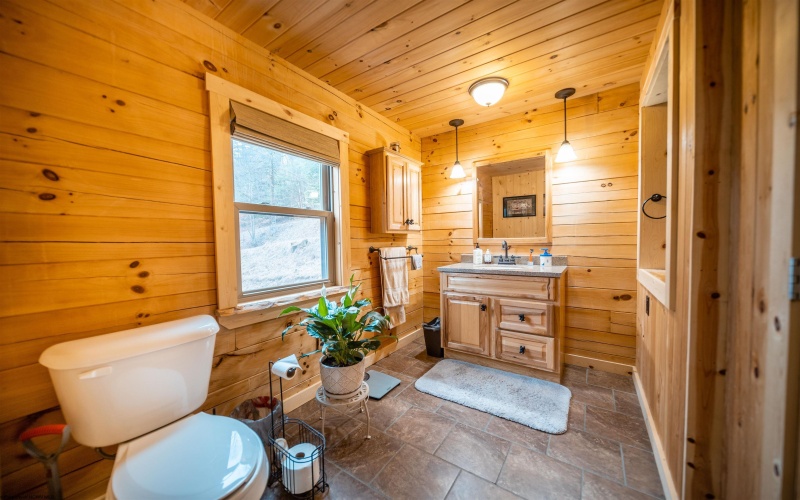 140 Mountain View Estates Road, Parsons, West Virginia 26287, 3 Bedrooms Bedrooms, 8 Rooms Rooms,2 BathroomsBathrooms,Single Family Detached,For Sale,Mountain View Estates,10164994