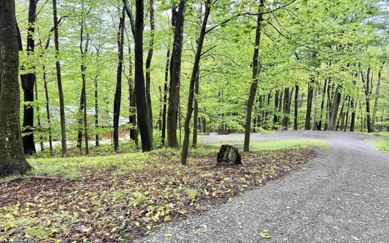 785 Ridge Road, Davis, West Virginia 26260, 3 Bedrooms Bedrooms, 9 Rooms Rooms,3 BathroomsBathrooms,Single Family Detached,For Sale,Ridge,10165019