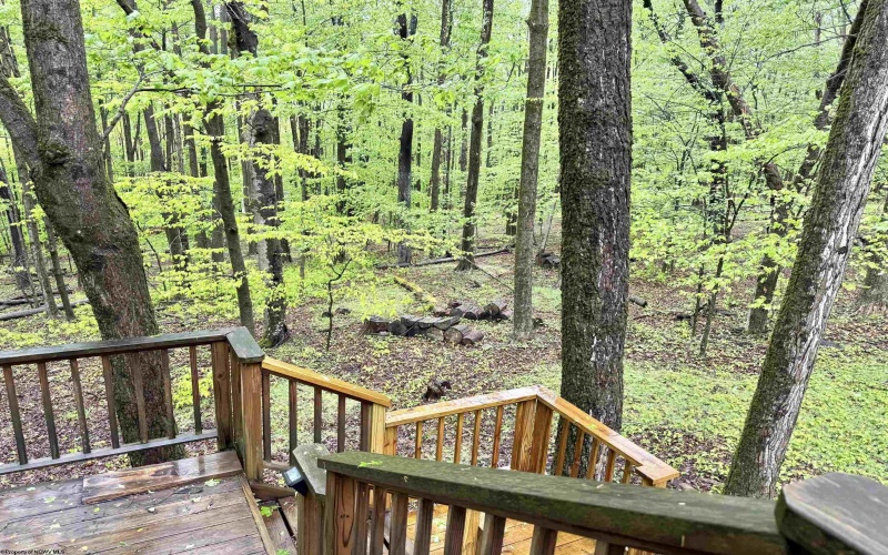 785 Ridge Road, Davis, West Virginia 26260, 3 Bedrooms Bedrooms, 9 Rooms Rooms,3 BathroomsBathrooms,Single Family Detached,For Sale,Ridge,10165019
