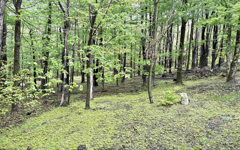 785 Ridge Road, Davis, West Virginia 26260, 3 Bedrooms Bedrooms, 9 Rooms Rooms,3 BathroomsBathrooms,Single Family Detached,For Sale,Ridge,10165019