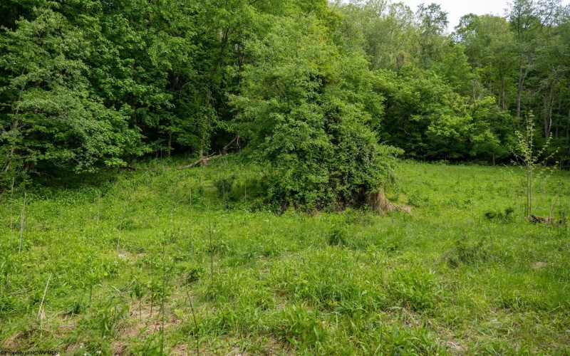 Lot 1 Opekiska Road, Fairmont, West Virginia 26554, ,Lots/land,For Sale,Opekiska,10165027 Lot 1 Opekiska Road, Fairmont, West Virginia 26554, ,Lots/land,For Sale,Opekiska,10165027