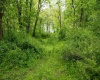 Lot 1 Opekiska Road, Fairmont, West Virginia 26554, ,Lots/land,For Sale,Opekiska,10165027 Lot 1 Opekiska Road, Fairmont, West Virginia 26554, ,Lots/land,For Sale,Opekiska,10165027