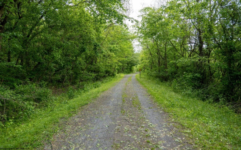 Lot 1 Opekiska Road, Fairmont, West Virginia 26554, ,Lots/land,For Sale,Opekiska,10165027 Lot 1 Opekiska Road, Fairmont, West Virginia 26554, ,Lots/land,For Sale,Opekiska,10165027