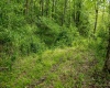 Lot 1 Opekiska Road, Fairmont, West Virginia 26554, ,Lots/land,For Sale,Opekiska,10165027 Lot 1 Opekiska Road, Fairmont, West Virginia 26554, ,Lots/land,For Sale,Opekiska,10165027