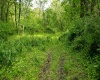 Lot 1 Opekiska Road, Fairmont, West Virginia 26554, ,Lots/land,For Sale,Opekiska,10165027 Lot 1 Opekiska Road, Fairmont, West Virginia 26554, ,Lots/land,For Sale,Opekiska,10165027