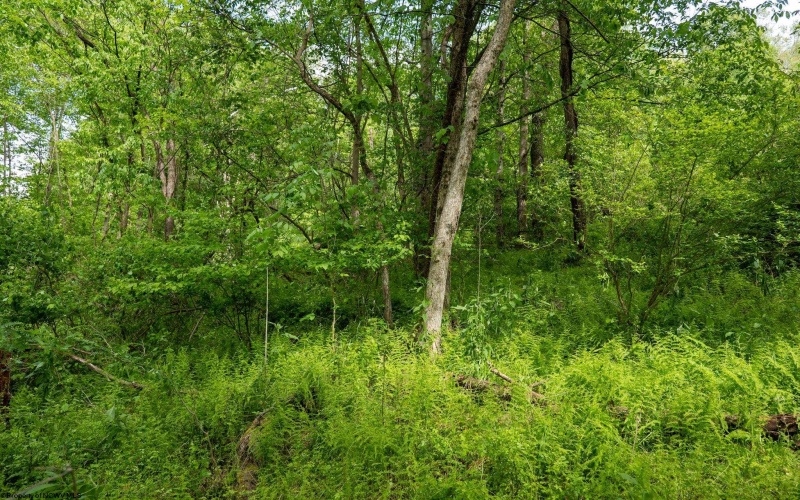 Lot 1 Opekiska Road, Fairmont, West Virginia 26554, ,Lots/land,For Sale,Opekiska,10165027 Lot 1 Opekiska Road, Fairmont, West Virginia 26554, ,Lots/land,For Sale,Opekiska,10165027