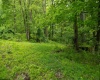 Lot 1 Opekiska Road, Fairmont, West Virginia 26554, ,Lots/land,For Sale,Opekiska,10165027 Lot 1 Opekiska Road, Fairmont, West Virginia 26554, ,Lots/land,For Sale,Opekiska,10165027
