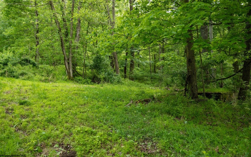 Lot 1 Opekiska Road, Fairmont, West Virginia 26554, ,Lots/land,For Sale,Opekiska,10165027 Lot 1 Opekiska Road, Fairmont, West Virginia 26554, ,Lots/land,For Sale,Opekiska,10165027