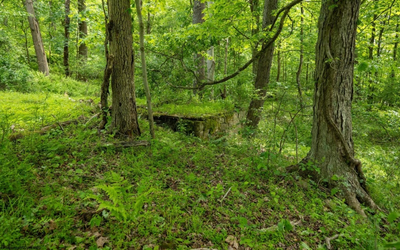 Lot 1 Opekiska Road, Fairmont, West Virginia 26554, ,Lots/land,For Sale,Opekiska,10165027 Lot 1 Opekiska Road, Fairmont, West Virginia 26554, ,Lots/land,For Sale,Opekiska,10165027