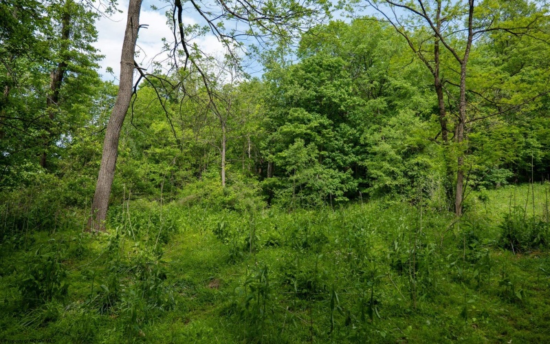 Lot 1 Opekiska Road, Fairmont, West Virginia 26554, ,Lots/land,For Sale,Opekiska,10165027 Lot 1 Opekiska Road, Fairmont, West Virginia 26554, ,Lots/land,For Sale,Opekiska,10165027