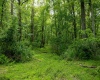 Lot 1 Opekiska Road, Fairmont, West Virginia 26554, ,Lots/land,For Sale,Opekiska,10165027 Lot 1 Opekiska Road, Fairmont, West Virginia 26554, ,Lots/land,For Sale,Opekiska,10165027